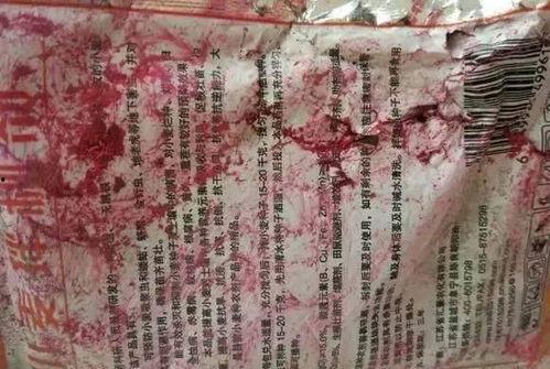 娱乐吃瓜君二豆妈,揭秘娱乐圈背后的故事与趣闻