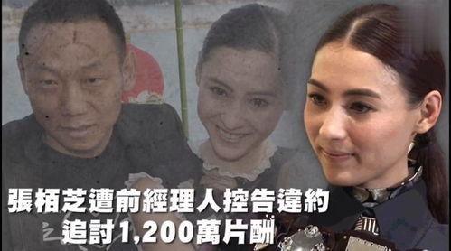 吃瓜观娱乐,吃瓜群众视角下的明星八卦