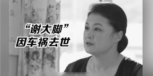 娱乐圈的吃瓜影帝贫道,娱乐圈的吃瓜传奇