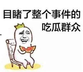 娱乐爆笑吃瓜视频合集大全,笑料横生!娱乐爆笑吃瓜视频合集大盘点