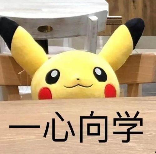 娱乐吃瓜er,吃瓜er带你探秘明星幕后故事